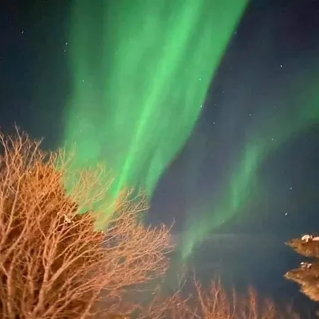 Lofoten Family Lejlighed